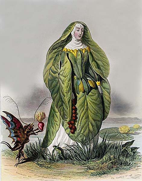 Woman as a plant by J. J. Grandville - www.anthroanimals.com